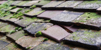Nant Y Ffin roof repair costs